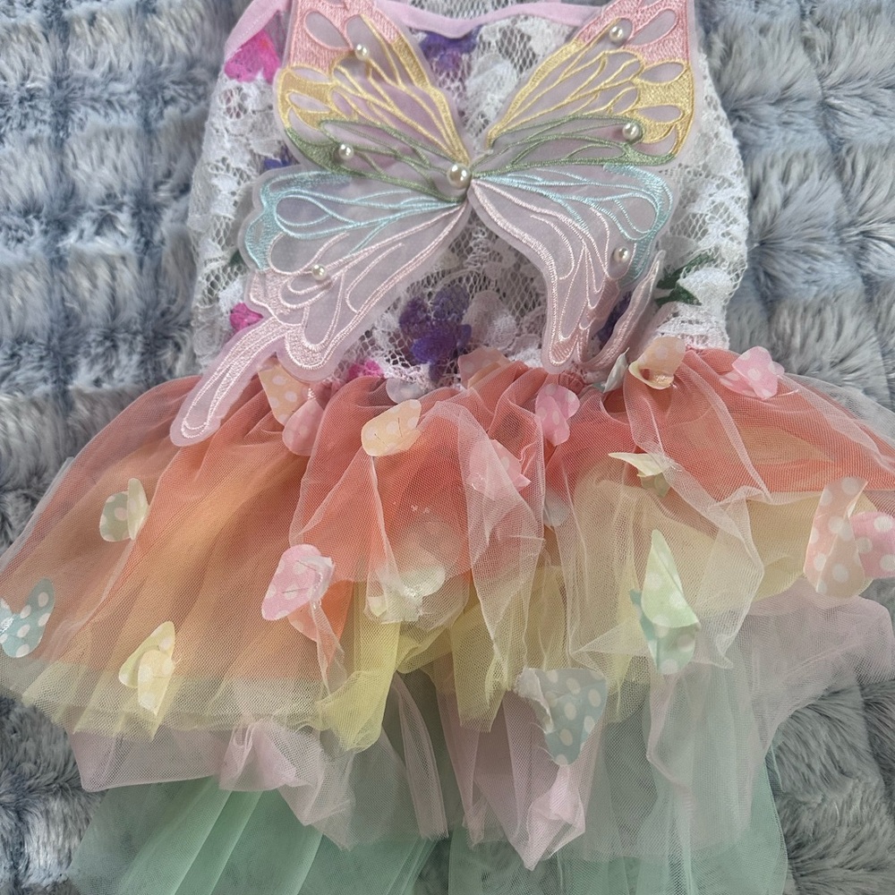 Colorful Butterfly small dog/puppy butterfly tutu dress